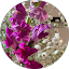 Avatar for mk m.